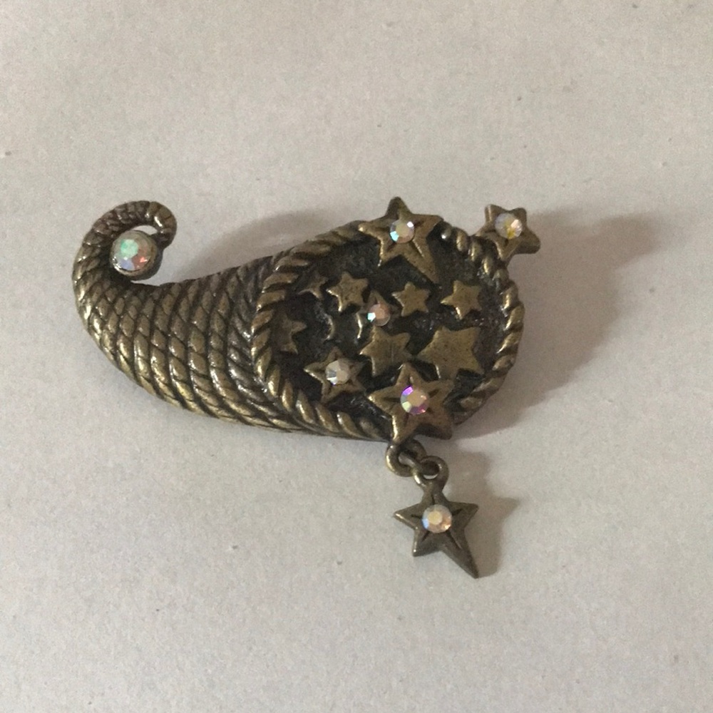 Starry Cornucopia DD Brooch